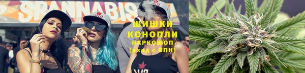 шишки Алексин