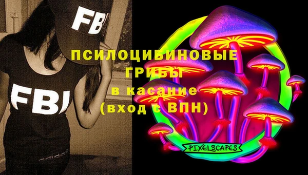 шишки Алексин
