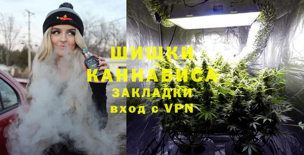 шишки Алексин